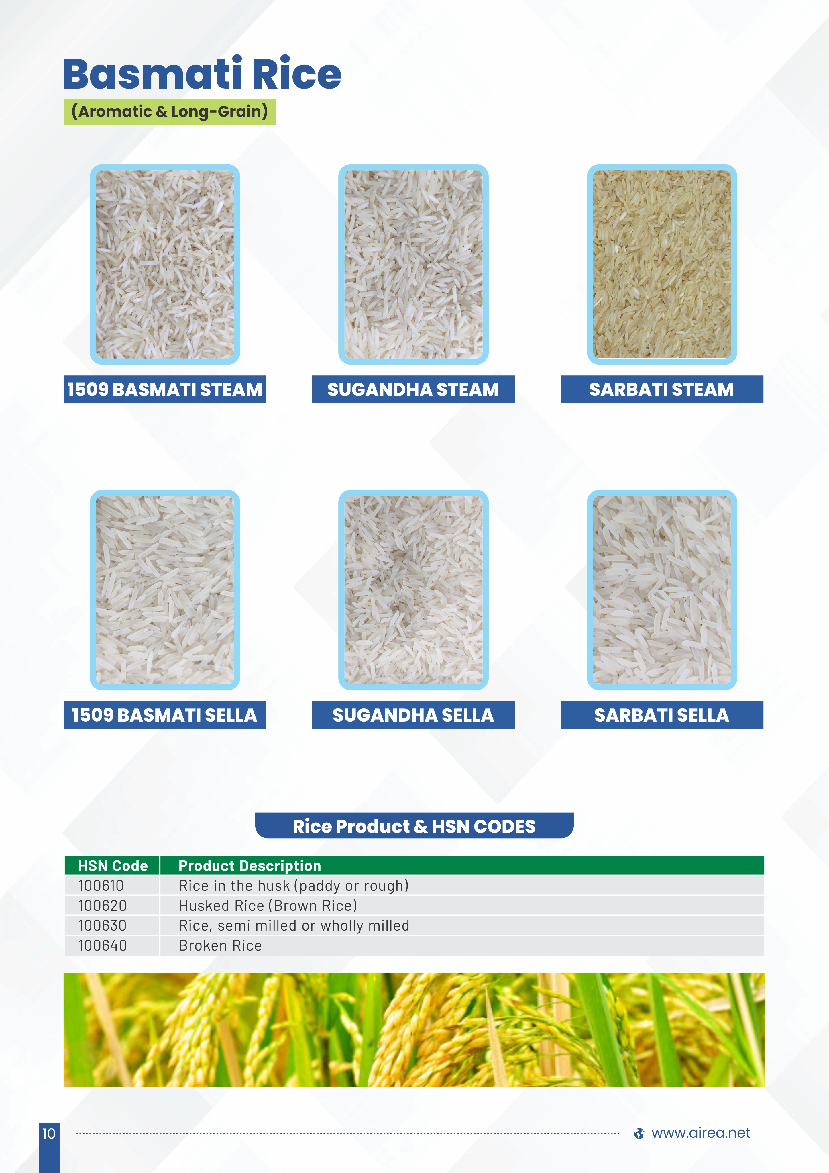 Rice Production Image